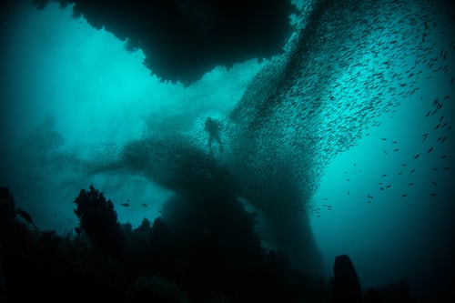 Person deep under water with several small fish